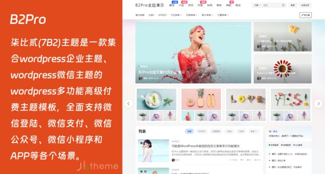 WordPress轻社交购物主题：B2Pro