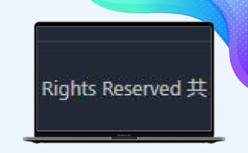 WordPress添加网址加载时间